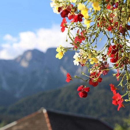Fewo Baurechthof Goderschach エクステリア 写真